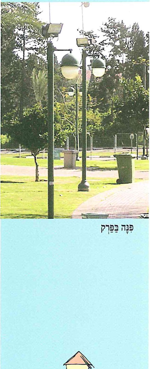 (בספר תמונה של פינה בפארק)